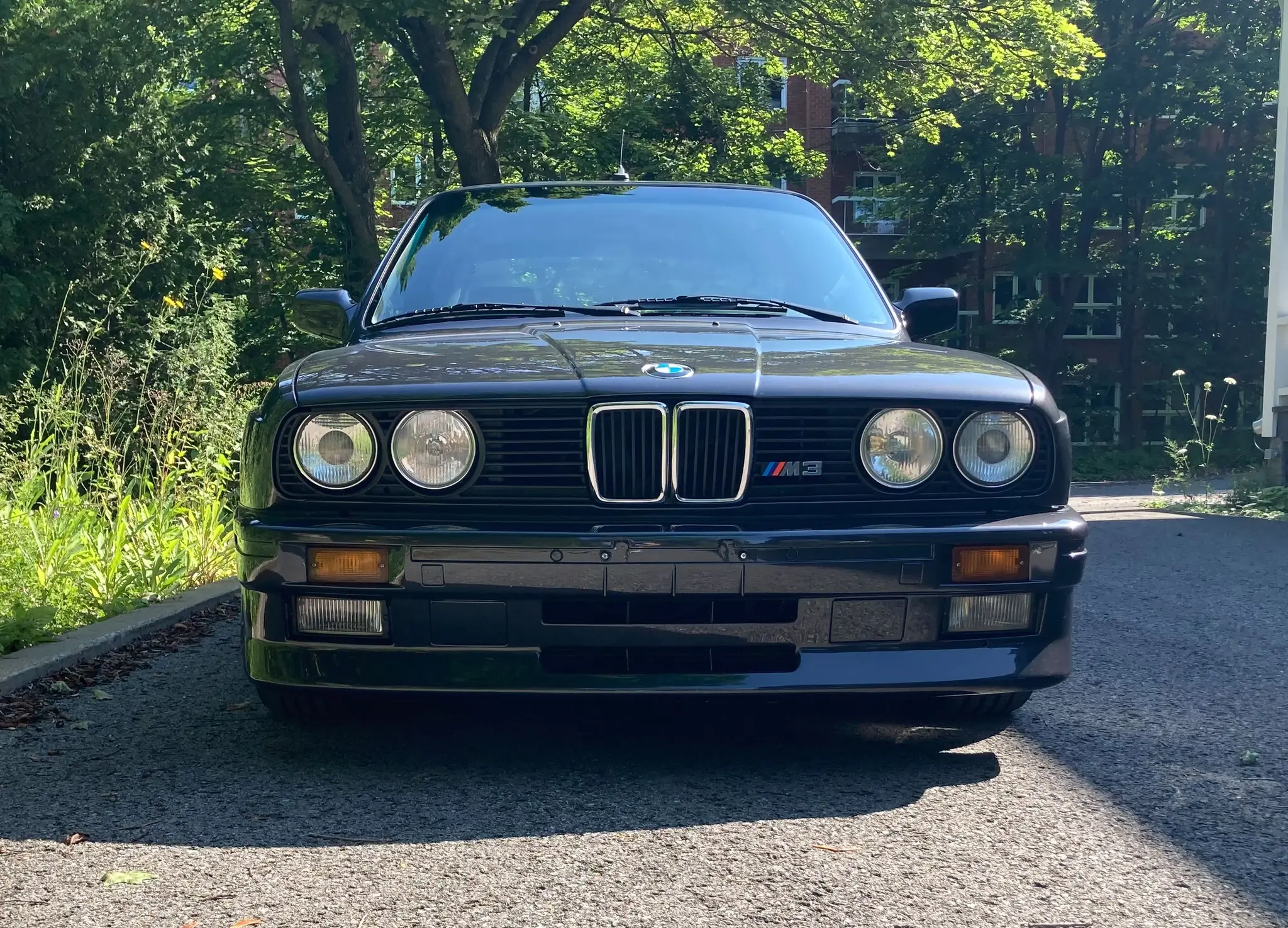 Japanese-Market 1988 BMW M3 photo 3